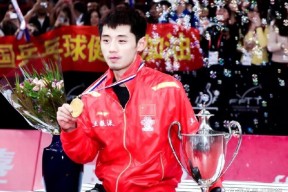 华体会hth-英国乒乓球队横扫日本乒乓球队，张继科高光表现的简单介绍