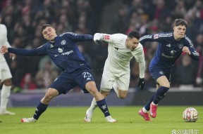 华体会-热刺战平尤文，托马斯穆勒扑点救主足总杯的简单介绍