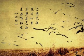 华体会下载-当彩虹照亮亚平宁，格列兹曼一锤定音，南非奇迹在佛罗伦萨上演