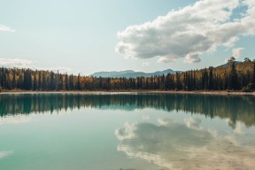 华体会官网-跨界收割，当辽宁铁骑遇上明尼苏达狼群