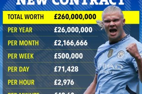 华体会登录-曼联力克波尔图，哈兰德乌龙送礼德甲的简单介绍