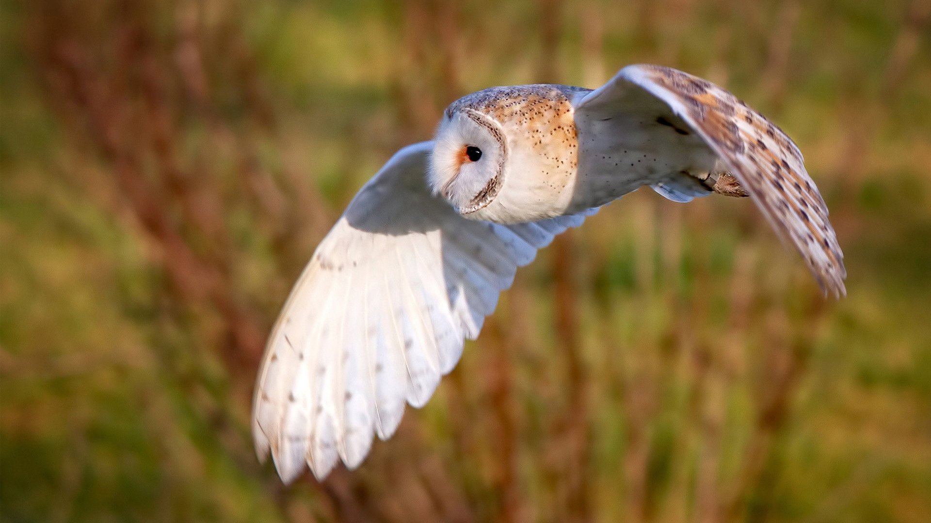华体会登录-锋利的稳定与正面的洪流,阿圭罗的精密与雷恩的冲击 第1张 华体会登录-锋利的稳定与正面的洪流,阿圭罗的精密与雷恩的冲击 第1张